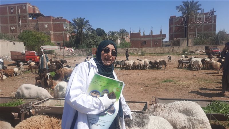 مدير الإرشاد البيطري