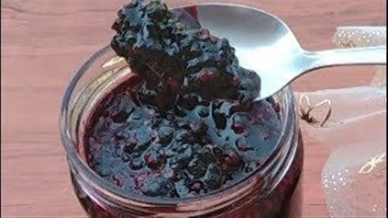 مربى التوت 