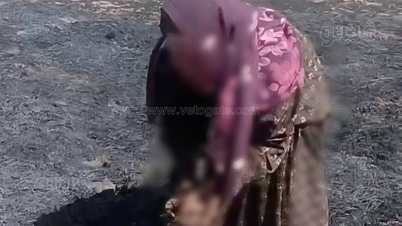 حريق محصول القمح،