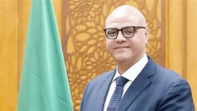المهندس أيمن عطية،
