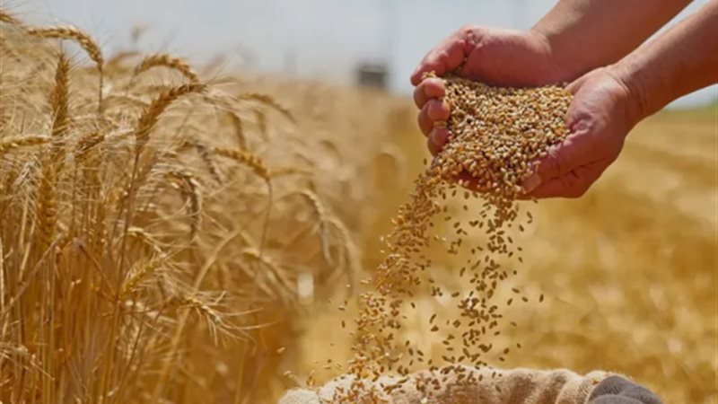 مطالب برفع سعر توريد