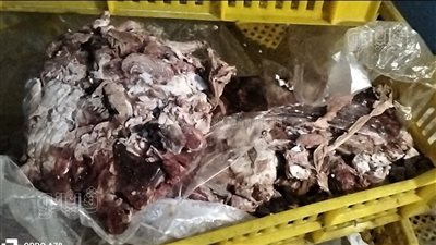 ضبط 3 أطنان لحوم ودواجن فاسدة قبل طرحها بالأسواق في بورسعيد