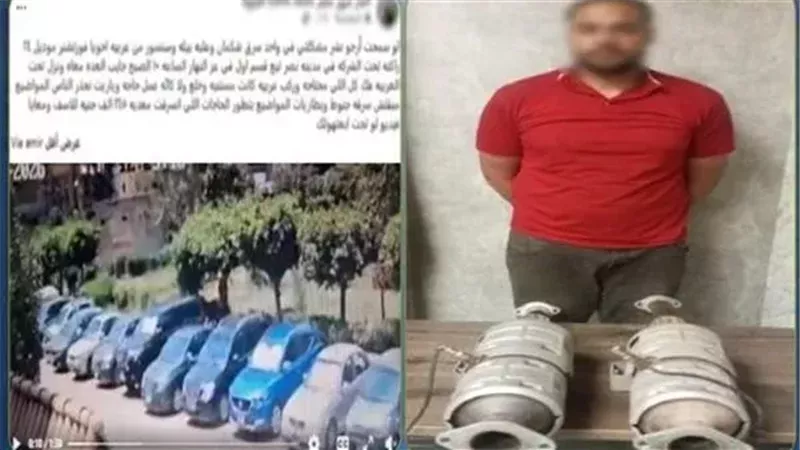ضبط المتهم، فيتو