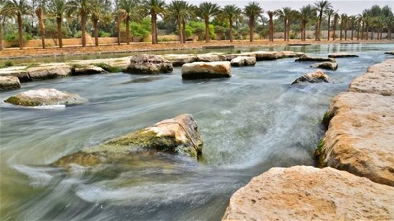  منخفض القطارة، فيتو