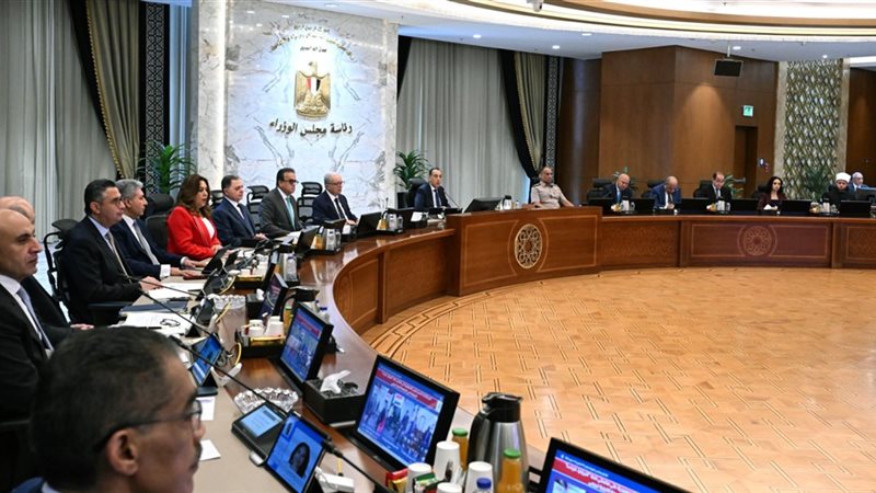 مجلس الوزراء، فيتو