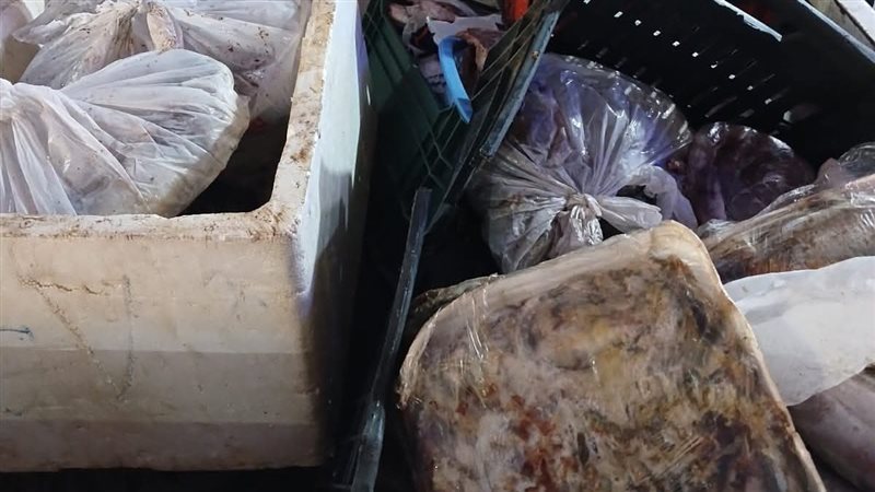 المضبوطات 