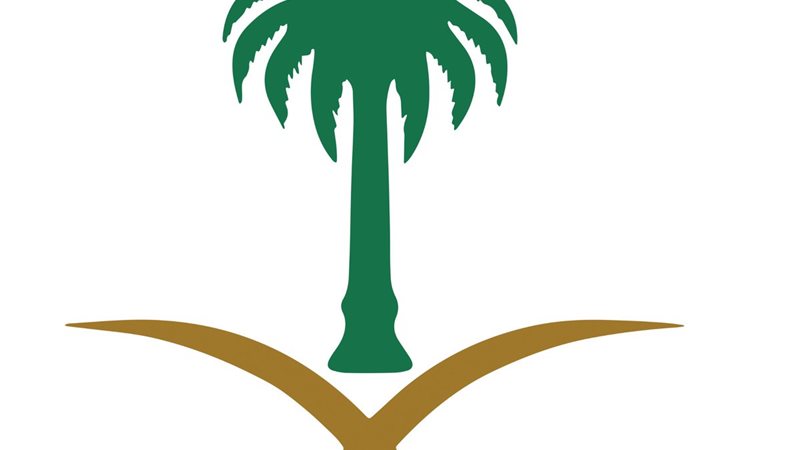 السيفان والنخلة،