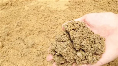 أسعار الرمل في سوق مواد البناء اليوم الخميس