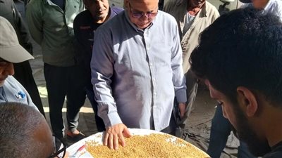 محافظ الدقهلية: توريد 205 آلاف طن قمح لمواقع التخزين والصوامع بالمحافظة