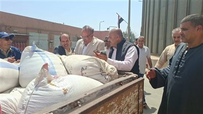 توريد 85 ألف طن قمح لصوامع المنوفية منذ بدء الموسم وحتى الآن