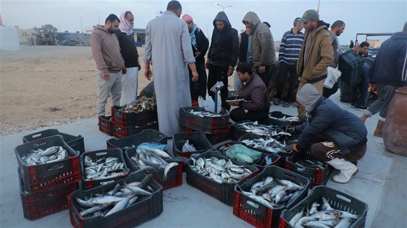 بحيرة البردويل