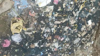 نعيش وسط المستنقعات والأمراض، أهالي حي الزهور بطوخ يستغيثون من طفح مياه الصرف الصحي (فيديو) 