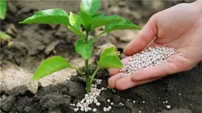 تصل إلى 3077 جنيها، انخفاض كبير في أسعار الأسمدة اليوم بالأسواق