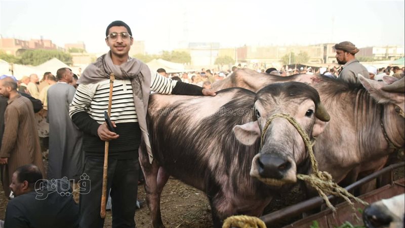 سوق المناشي