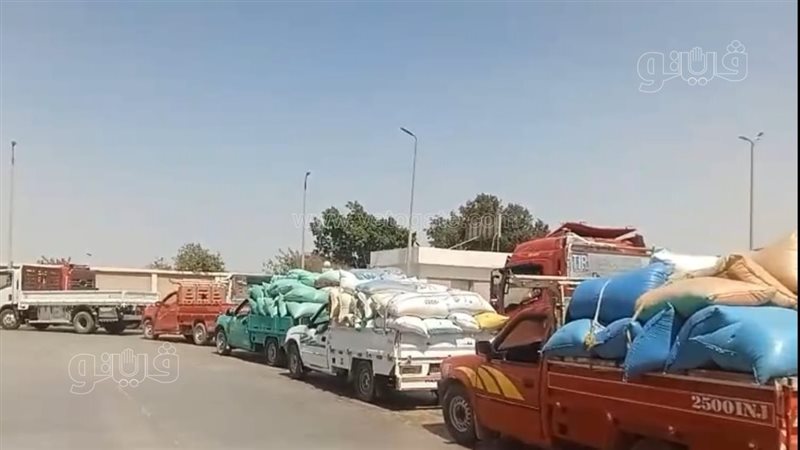  توريد قمح