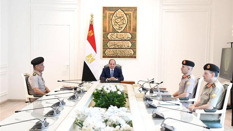 نشاط الرئيس السيسي