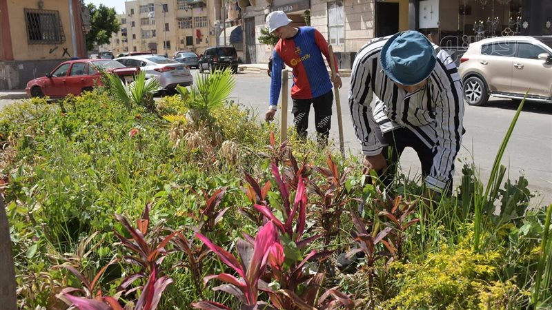 محافظة بورسعيد تتزين
