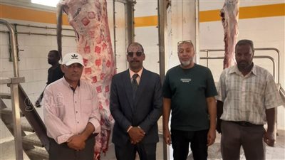 استعدادات مكثفة بمديرية الطب البيطرى بأسوان لاستقبال عيد الأضحى 