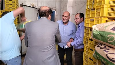 ضبط 10 أطنان لحوم ودواجن فاسدة داخل ثلاجة غير مرخصة بشبرا الخيمة