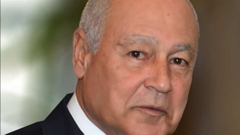 أحمد أبو الغيط، فيتو