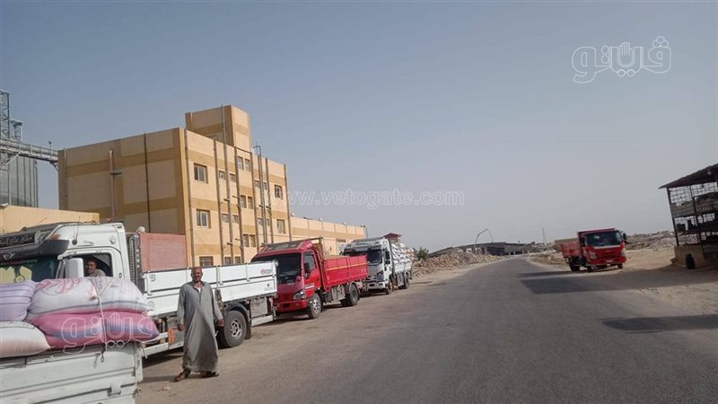 تموين مطروح: توريد