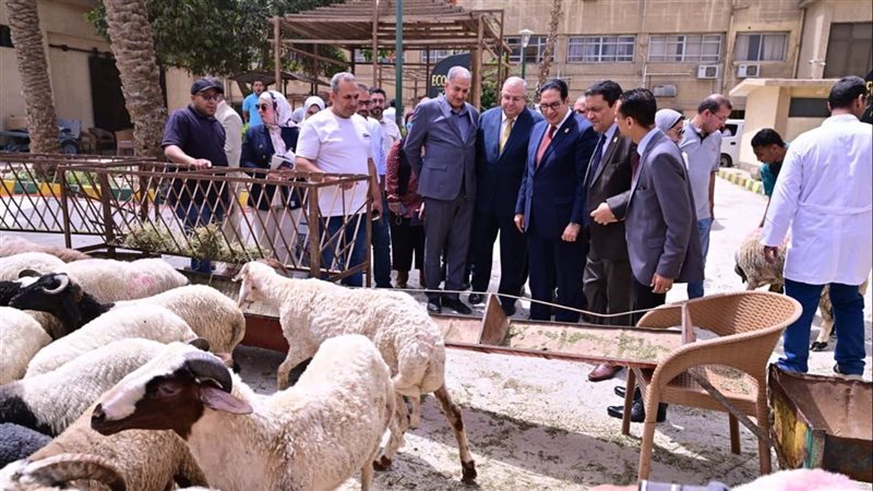 رئيس جامعة القاهرة