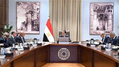 مدبولي يستعرض جهود تعزيز الربط والتبادل التجاري واللوجيستي مع الدول الأفريقية