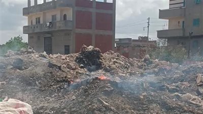 تراكم القمامة وانتشار الحرائق مشكلة تدق ناقوس الخطر بدمنهور (صور) 
