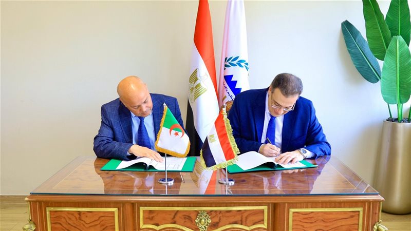 التنظيم والإدارة