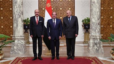  6 صور ترصد تفاصيل لقاء السيسي مع وزيري خارجية الجزائر وتونس