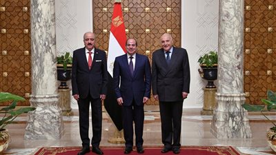  رسائل السيسي لـ وزيري خارجية الجزائر وتونس (فيديو)