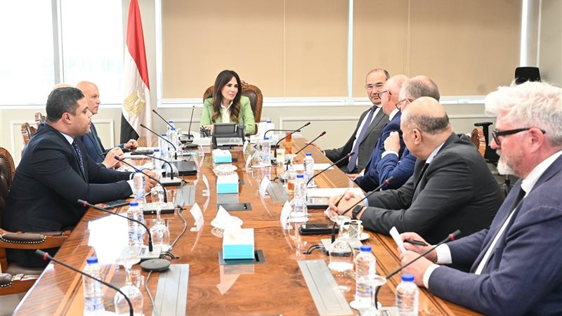 راندة المنشاوي 