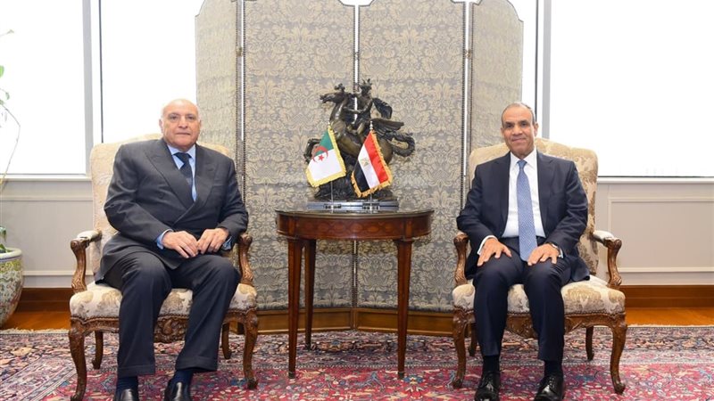 وزير الخارجية ونظيره