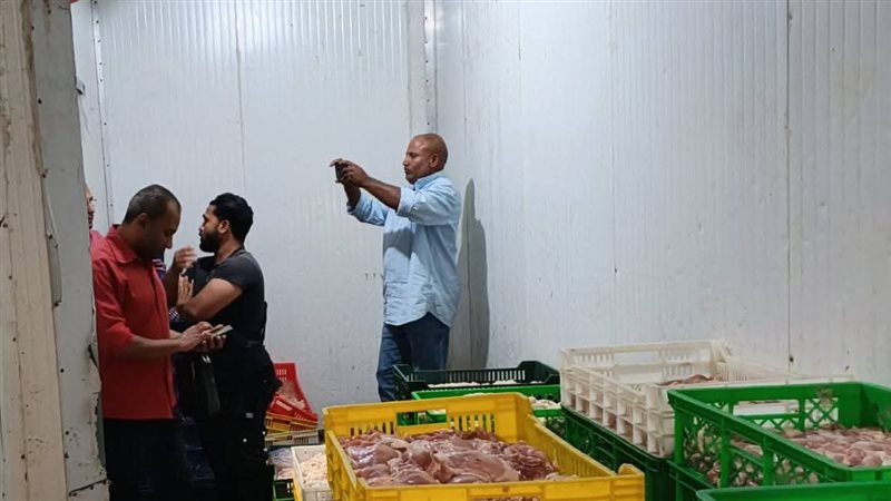 تموين القليوبية