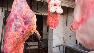 من الطواجن لـ الإستيك، دليلك لاختيار أفضل قطعيات اللحمة في عيد الأضحى (فيديو)