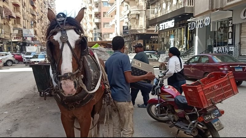 حملة للتصدي للنباشين