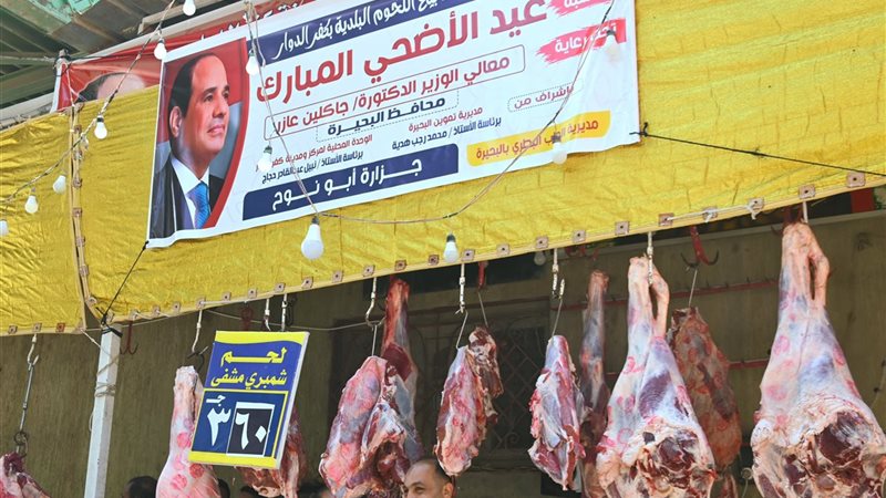 لحم بالبحيرة ب ٣٦٠جنيها