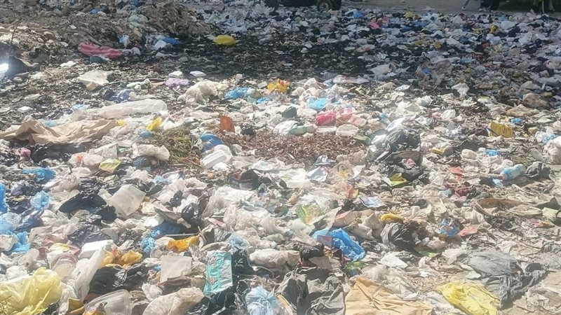الاسكندريه 