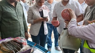 ضبط 800 كيلو لحوم ورنجة غير صالحة خلال حملة مكبرة بالقليوبية