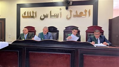 جنايات دمنهور تؤجل قضية 