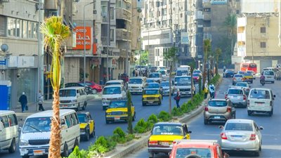 إدارة الحدائق بالإسكندرية تكثف استعداداتها لاستقبال عيد الأضحى 