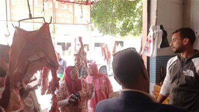 حملات مكثفة لمتابعة شوادر الماشية بأحياء الإسكندرية استعدادا لعيد الأضحى المبارك