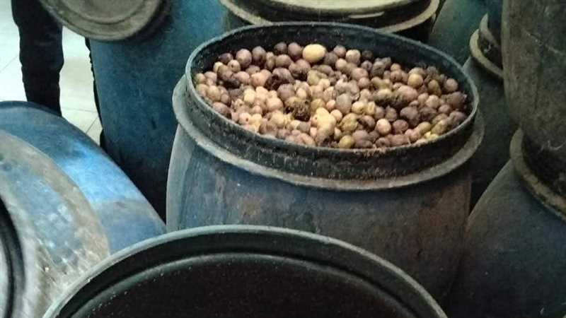 ضبط 34 طن مخللات