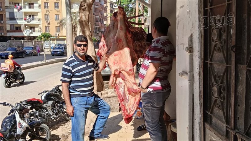 حملات، فيتو