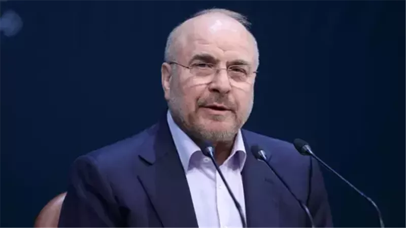  رئيس البرلمان الإيراني