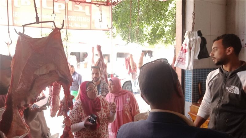 حملات في الإسكندرية،
