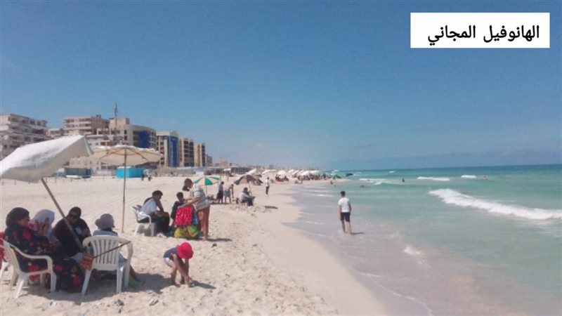 الاسكندريه 