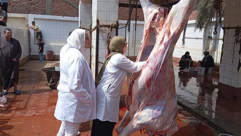 محافظ الغربية يتابع
