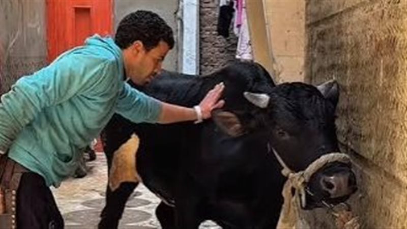 ذبح الأضحية، فيتو