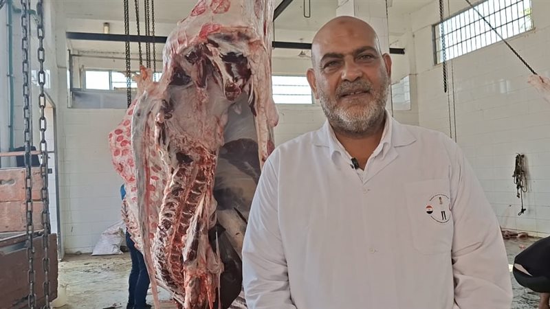 د. هاني شمس الدين